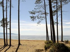 Plaża, Morze, Drzewa