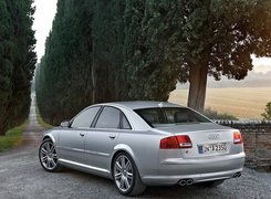 Audi A8, D3