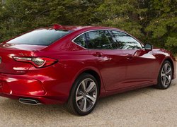 Acura TLX, 2021