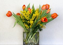 Akacja srebrzysta i tulipany w wazonie