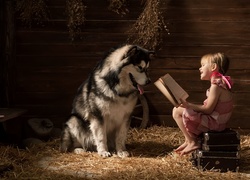Alaskan malamute i dziewczynka z książką