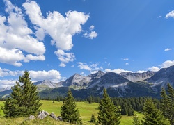 Szwajcaria, Davos, Góry Albula-Alpen, Drzewa, Łąki, Chmury