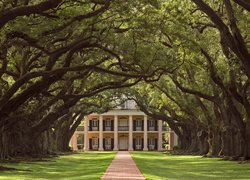 Aleja dębowa prowadząca do willi w Oak Alley Plantation