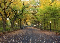 Stany Zjednoczone, Nowy Jork, Central Park, Ławki, Latarnie, Jesień, Alejka