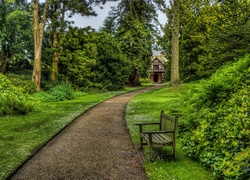 Anglia, Biddulph, Biddulph Grange Garden, Park, Ławka, Alejka, HDR,   Ogród