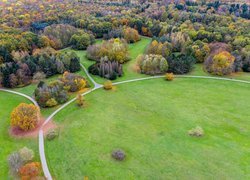 Park, Alejki, Drzewa, Ścieżki, Z lotu ptaka