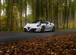 Biała, Alfa Romeo 4C, Las, Droga, Jesień