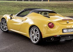 Alfa Romeo 4C Spider tyłem