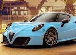 Alfa Romeo 4C Zeus Pogea Racing