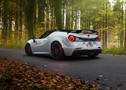 Alfa Romeo 4C, Pogea Racing Centurion, 2015, Droga, Las