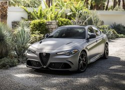 Samochód, Alfa Romeo Giulia Quadrifoglio