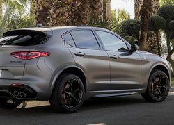 Alfa Romeo Stelvio na drodze