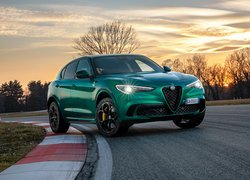 Alfa Romeo Stelvio Quadrifoglio, 2020
