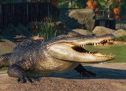 Aligator, Gra, Planet Zoo