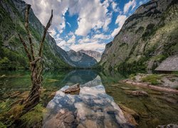 Jezioro Obersee, Góry, Alpy, Chmury, Uschnięte, Drzewo, Park Narodowy Berchtesgaden, Bawaria, Niemcy