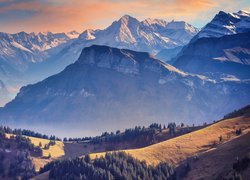 Góry, Alpy Szwajcarskie, Dolina, Drzewa, Szwajcaria