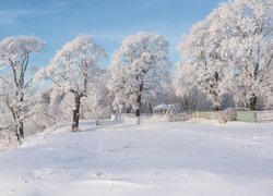 Zima, Ośnieżone, Drzewa, Altana