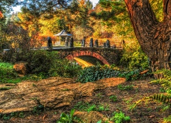 Jesień, Park, Most, Altanka, HDR, Drzewa