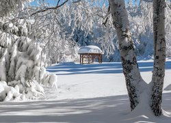 Zima, Śnieg, park, Drzewa, Altanka