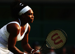 Amerykańska tenisistka Serena Williams z rakietą