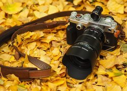 Aparat fotograficzny Olympus na jesiennych liściach