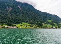 Szwajcaria, Kanton Schwyz, Arth, Jezioro Zugersee, Góry, Lasy, Domy