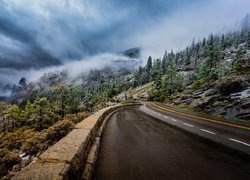Asfaltowa droga i opadająca mgła na góry i drzewa