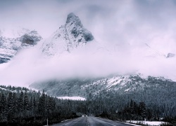 Asfaltowa droga prowadząca do lasu u podnóża zaśnieżonych gór