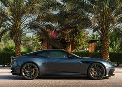Aston Martin, DBS, Superleggera, Palmy