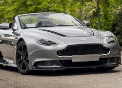 Aston Martin Vantage GT12 przodem