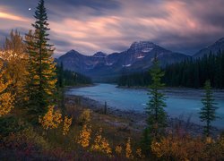 Góry, Rzeka, Athabasca River, Drzewa, Księżyc, Park Narodowy Jasper, Alberta, Kanada