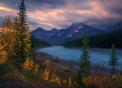 Athabasca River w Parku Narodowym Jasper