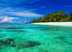 Wyspy Cooka, Atol Aitutaki, Ocean, Morze, Plaża, Palmy