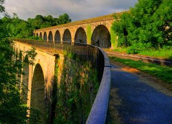 Most, Wiadukt, Atrakcja Chirk Aqueduct, Miejscowość Chirk, Hrabstwo Shropshire, Walia, Ogrodzenie, Droga, Drzewa, Roślinność