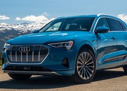 Niebieski, Audi e-Tron, 2019