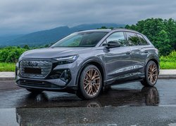 Audi Q4 40 e-Tron