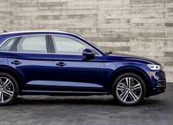 Audi Q5 2.0 TFSI Quattro z 2017 roku