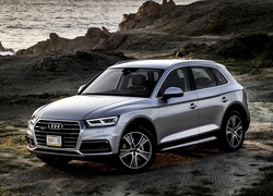 Audi Q5 3.0 TDI Quattro, SUV, Florett Silver, 2017