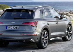 Audi Q5, Hybryda plug-in