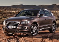 Audi Q5 na pustyni