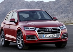 Audi Q5 rocznik 2017