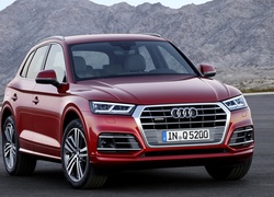 Audi Q5 rocznik 2017