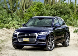 Audi Q5 TFSI Quattro SUV Navarra Blue, 2017, Kaktusy