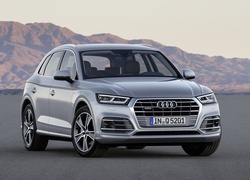 Audi Q5 TFSI Quattro, 2017