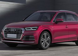 Czerwone, Audi Q5