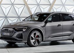 Audi Q8 E-Tron