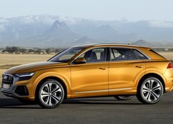 Żółte, Audi Q8