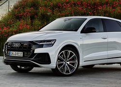 Audi Q8 Plug-in Hybrid S