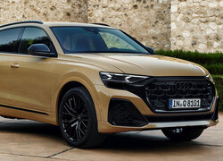 Audi Q8 S