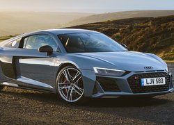 Audi R8 Coupe Performance, Bok